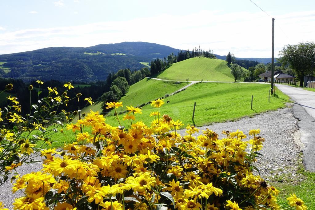 Ferienwohnungen Perhofer Birkfeld Luaran gambar