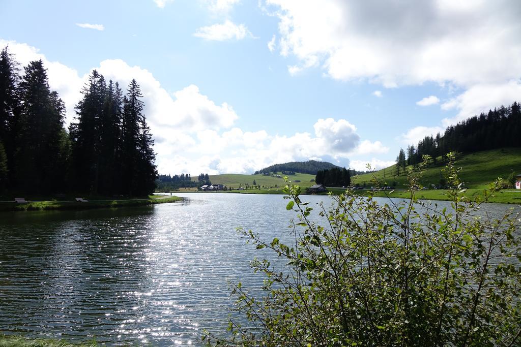 Ferienwohnungen Perhofer Birkfeld Luaran gambar
