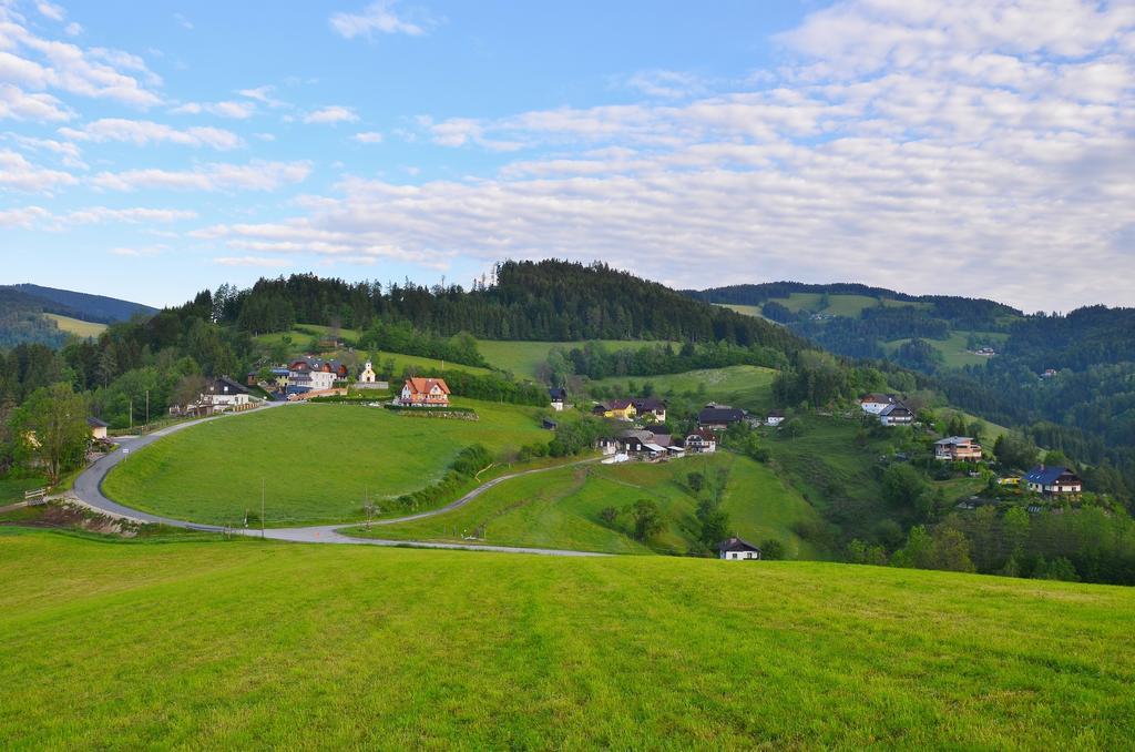 Ferienwohnungen Perhofer Birkfeld Luaran gambar